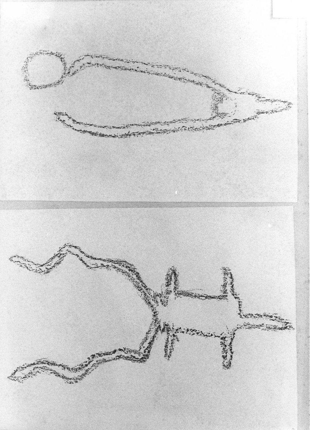 FIGURE ZOOMORFE (disegno) di Bicknell Clarence (attribuito) (secc. XIX/ XX)