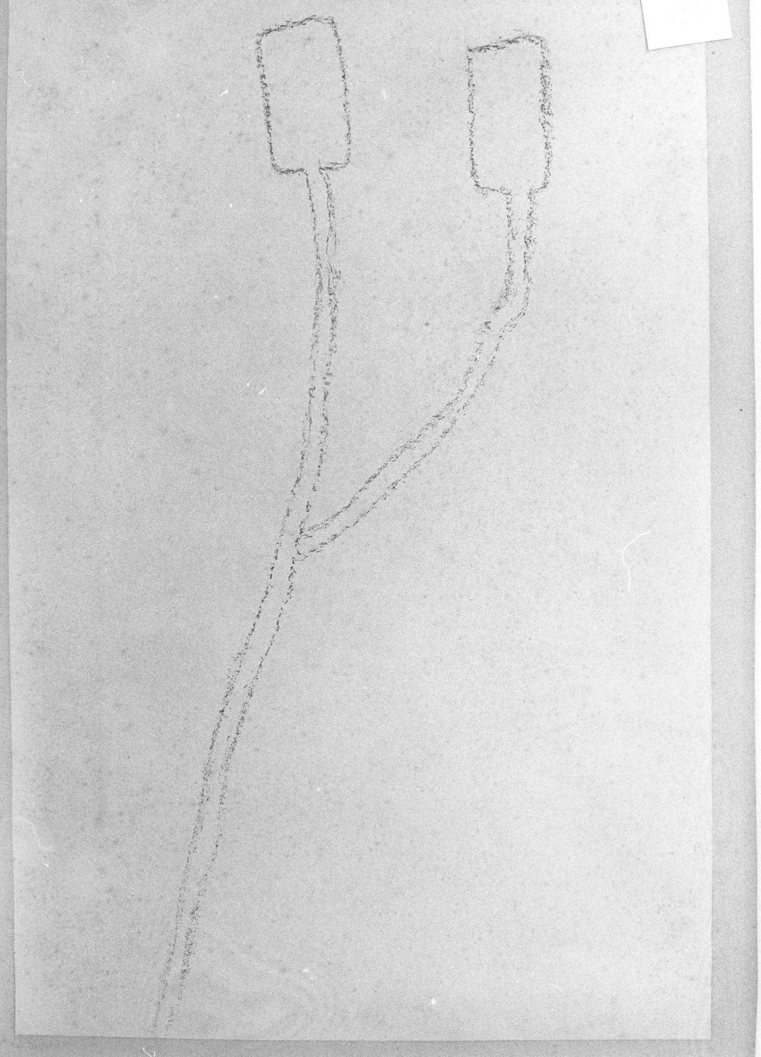 RECINTI (disegno) di Bicknell Clarence (attribuito) (secc. XIX/ XX)