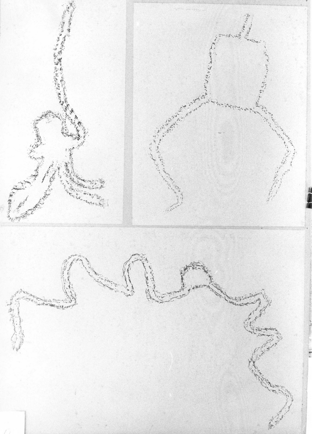 FIGURE ZOOMORFE (disegno) di Bicknell Clarence (attribuito) (secc. XIX/ XX)