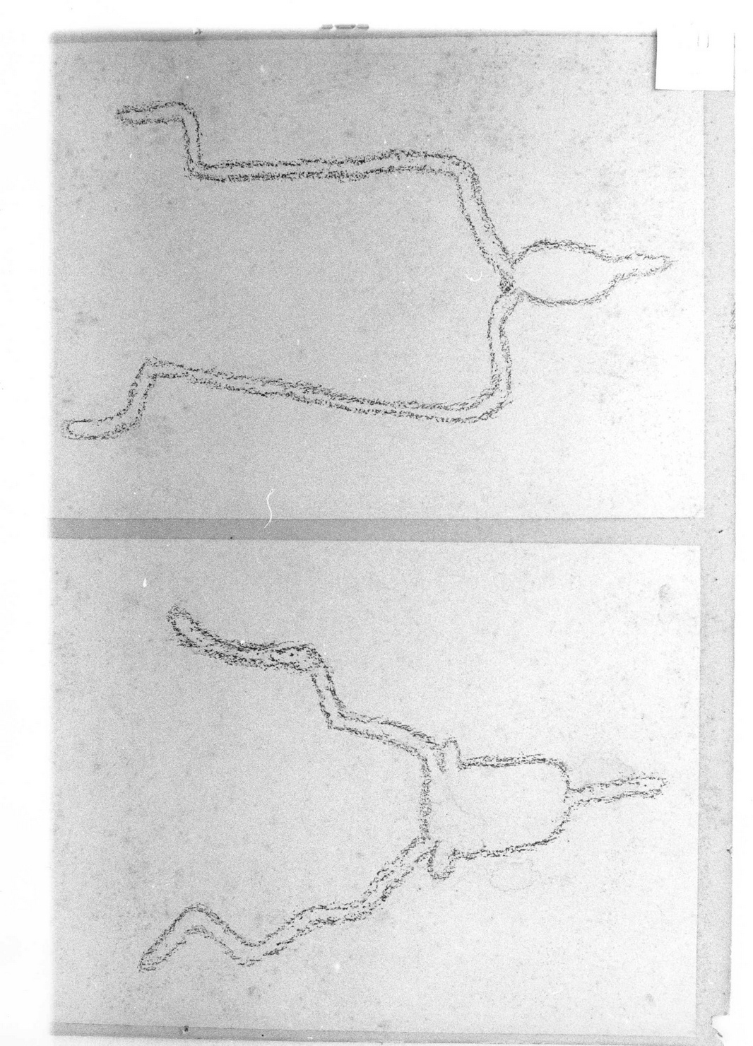 FIGURE ZOOMORFE (disegno) di Bicknell Clarence (attribuito) (secc. XIX/ XX)