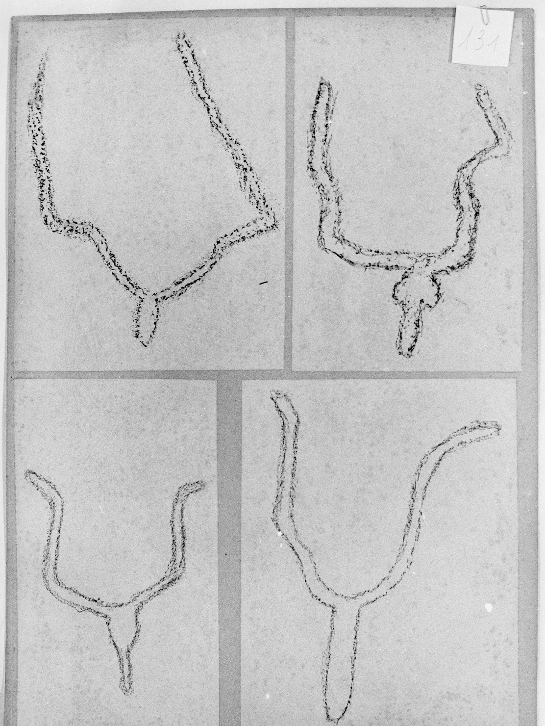 FIGURE BOVINE (disegno) di Bicknell Clarence (attribuito) (secc. XIX/ XX)