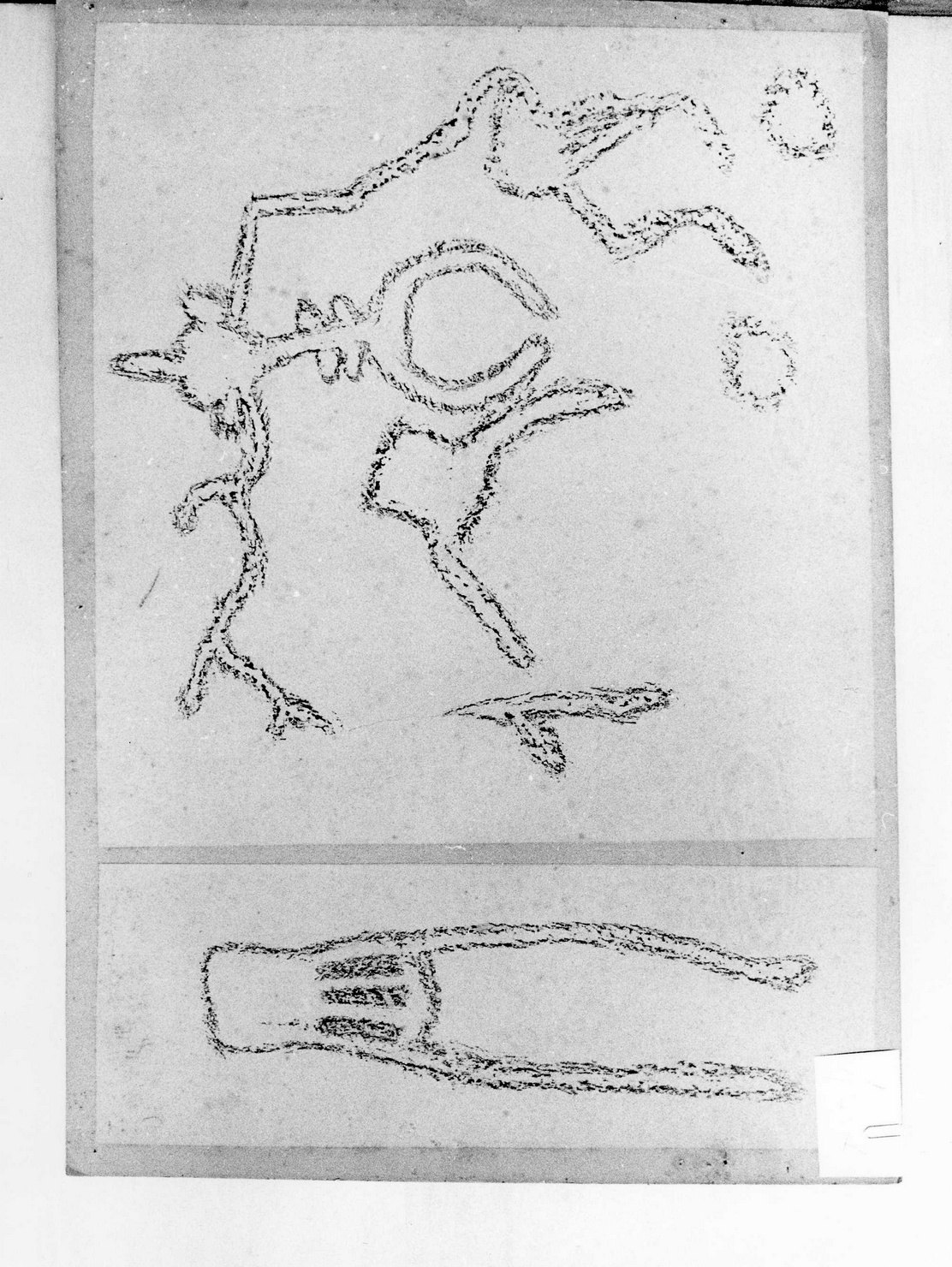 FIGURE ZOOMORFE (disegno) di Bicknell Clarence (attribuito) (secc. XIX/ XX)