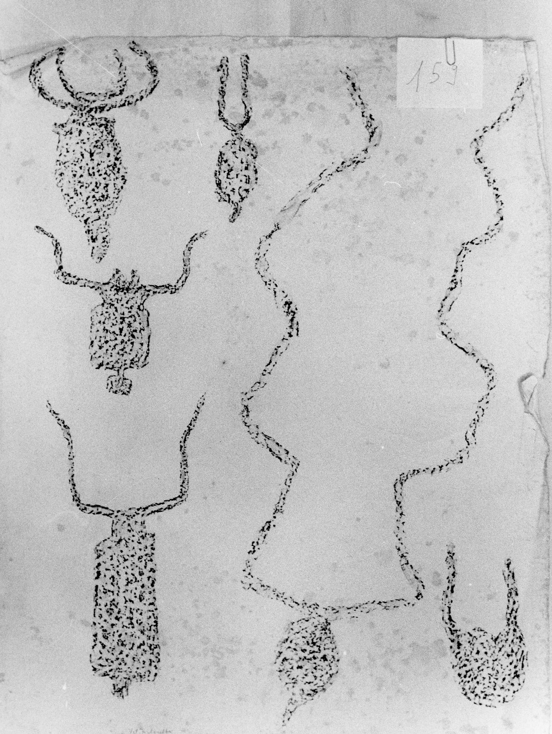 FIGURE ZOOMORFE (disegno) di Bicknell Clarence (attribuito) (sec. XX)