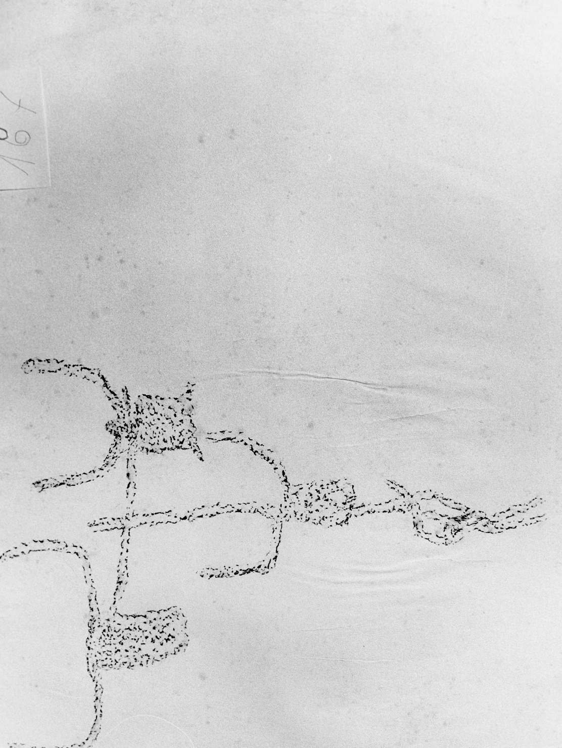 ARATRO (disegno) di Bicknell Clarence (attribuito) (sec. XX)