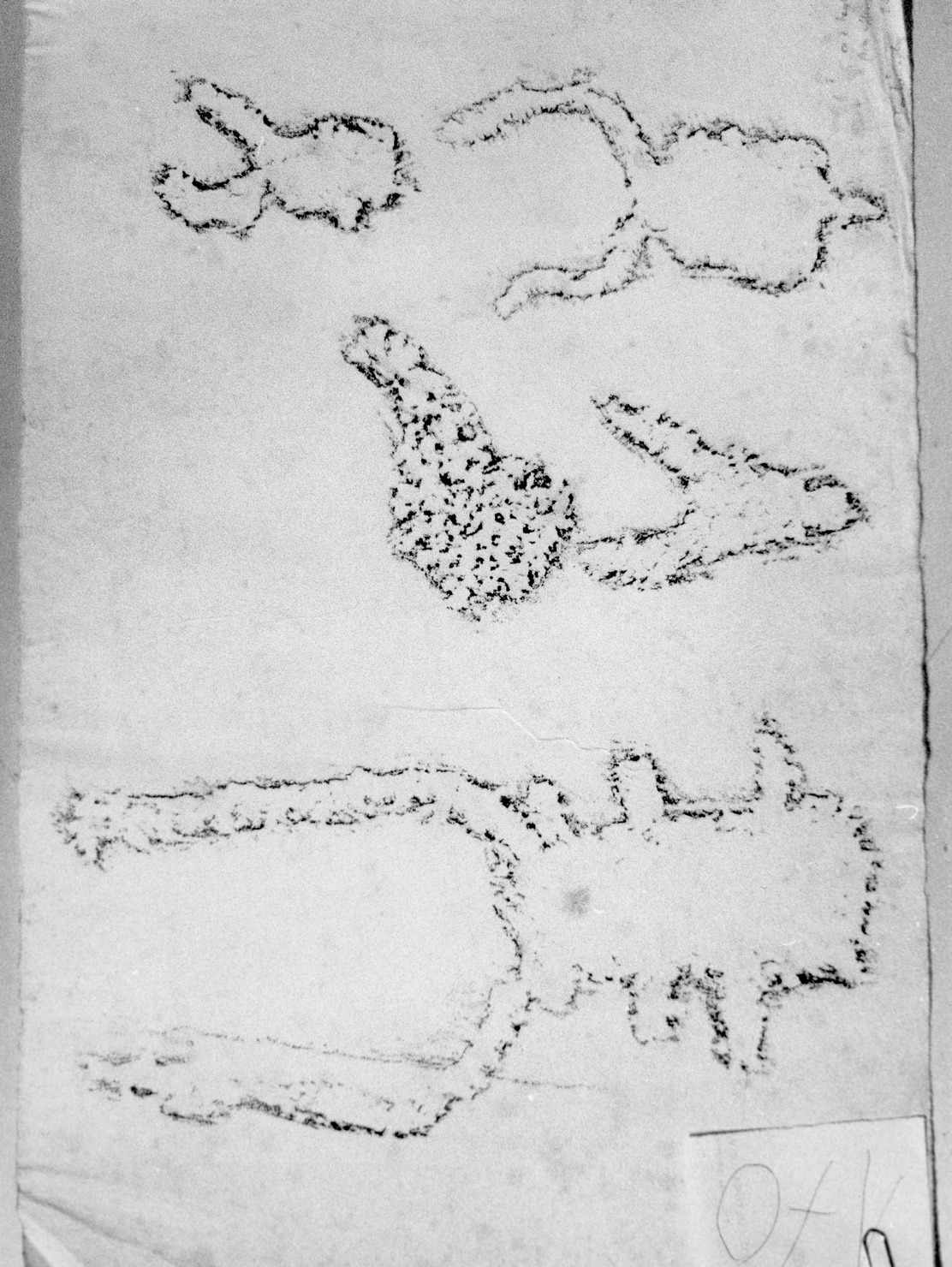 FIGURE ZOOMORFE (disegno) di Bicknell Clarence (attribuito) (sec. XX)