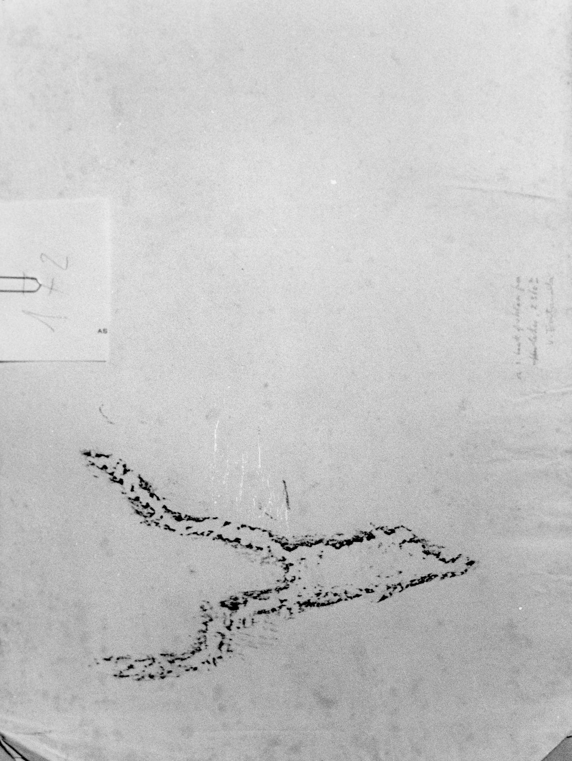 FIGURA ZOOMORFA (disegno) di Bicknell Clarence (attribuito) (sec. XX)