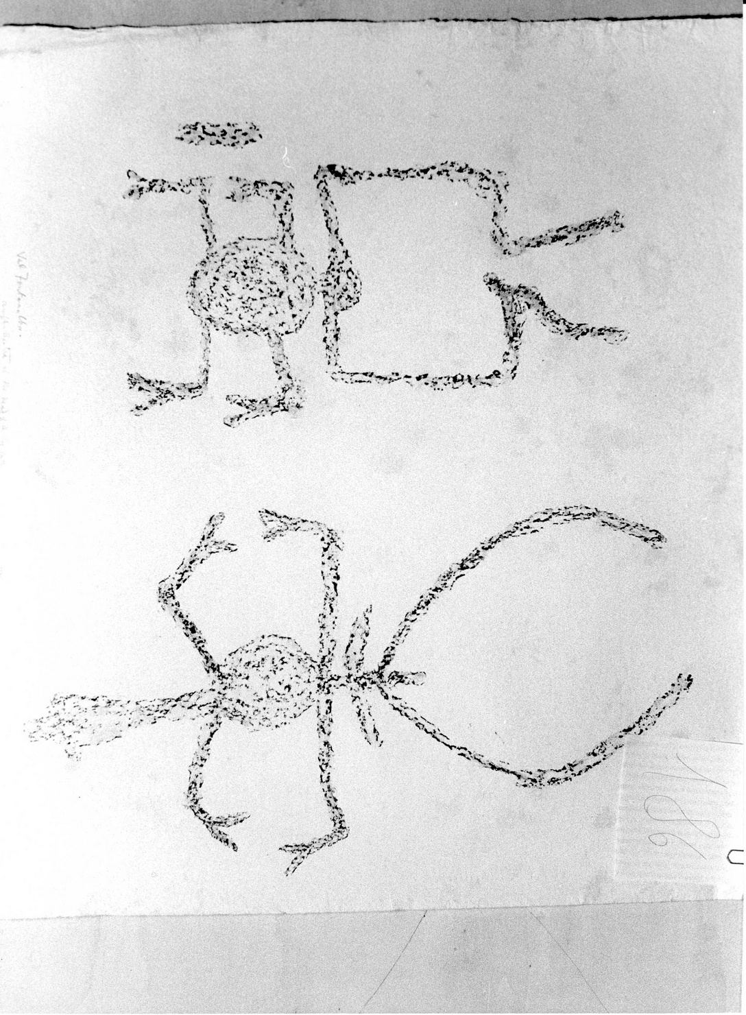 FIGURE ZOOMORFE (disegno) di Bicknell Clarence (attribuito) (sec. XX)