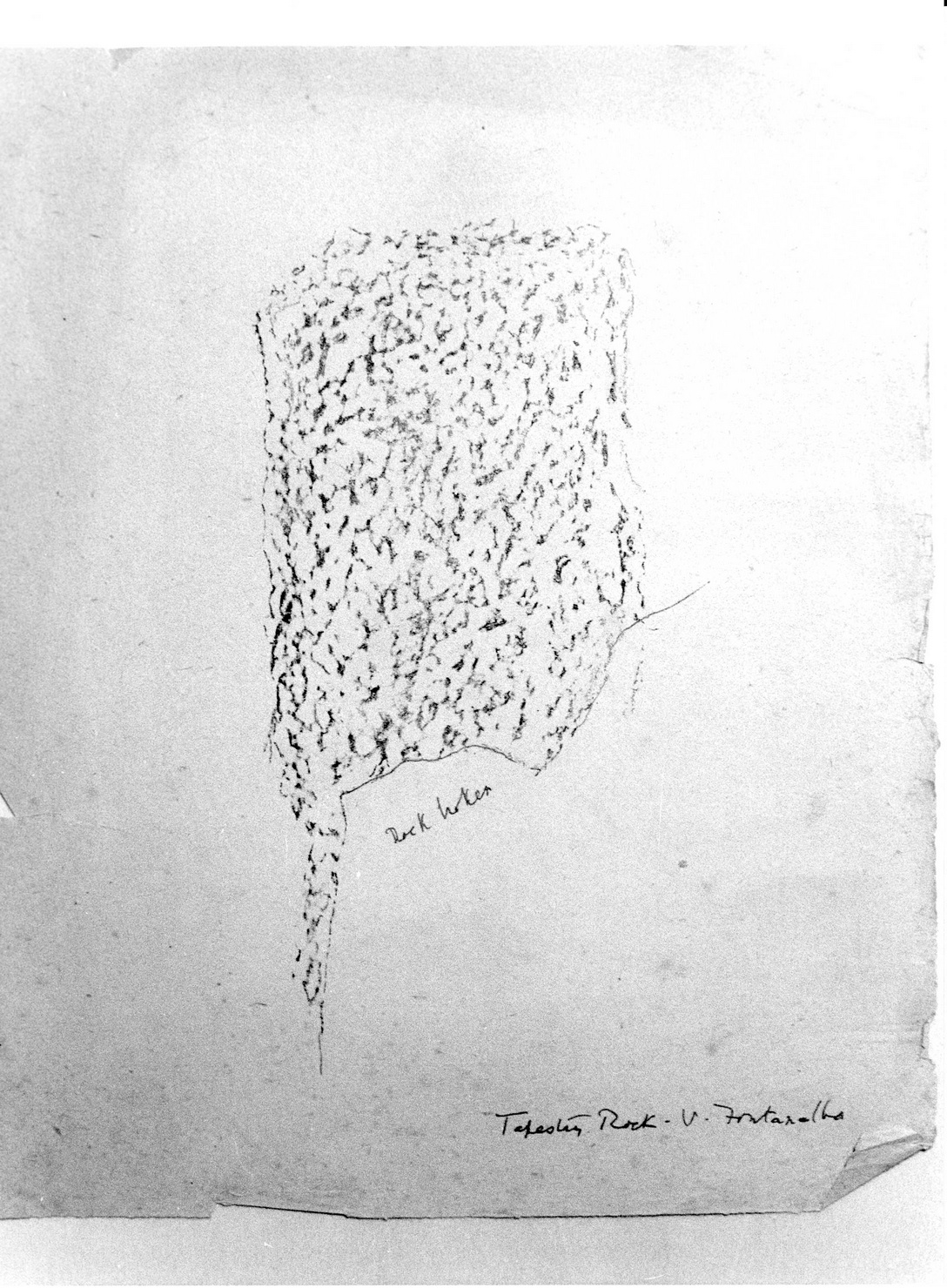 PELLE (disegno) di Bicknell Clarence (attribuito) (sec. XX)