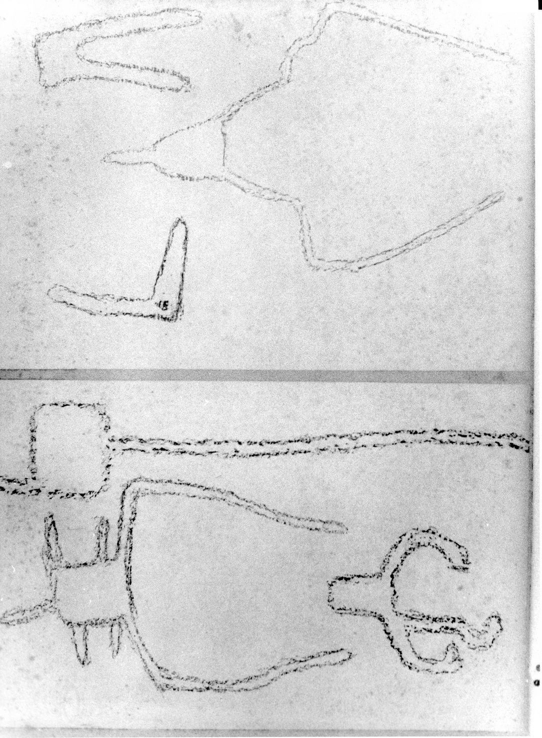 FIGURE ZOOMORFE E UTENSILI (disegno) di Bicknell Clarence (attribuito) (secc. XIX/ XX)