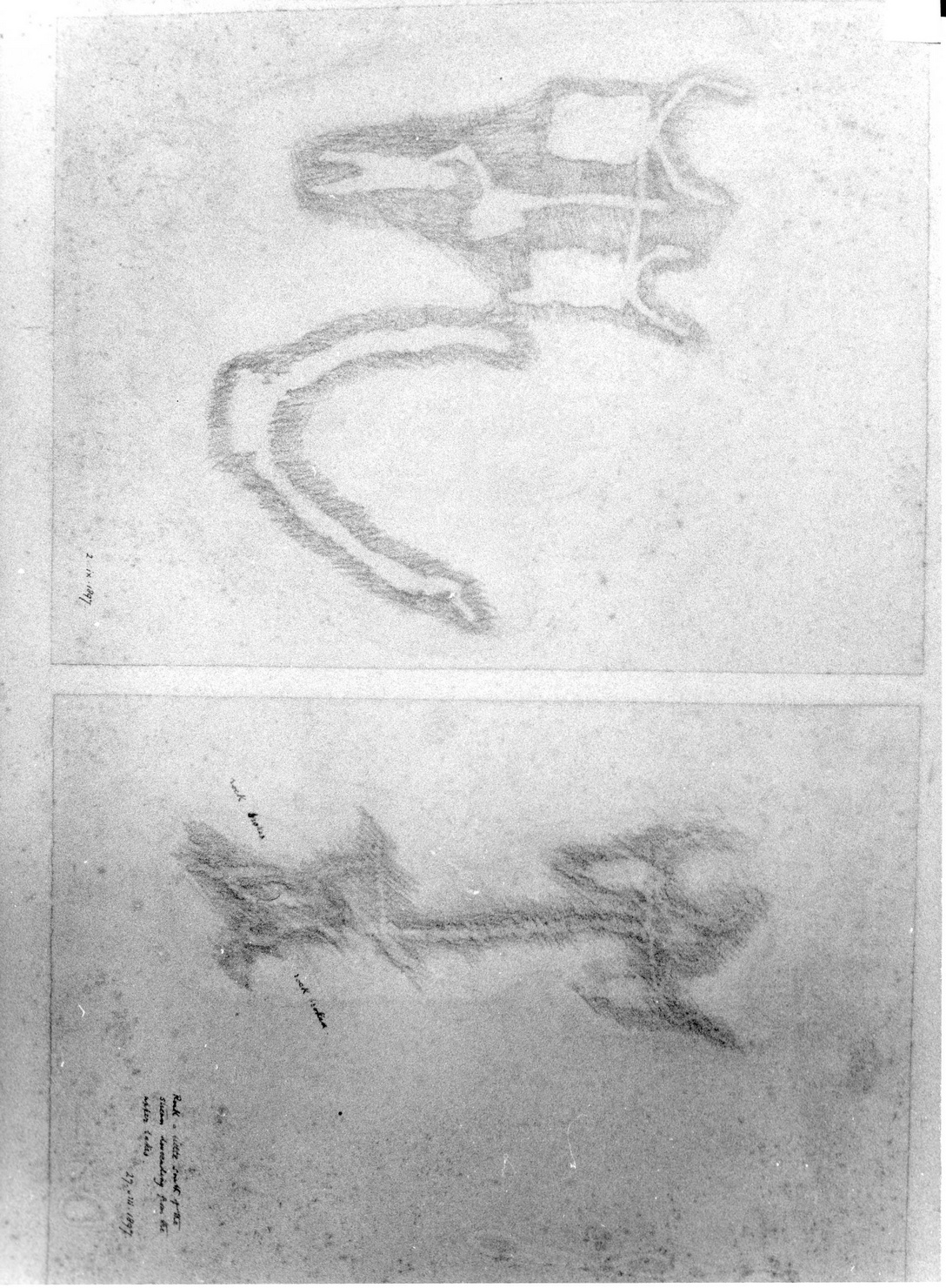 ARATRI (disegno, opera isolata) di Bicknell Clarence (sec. XIX)