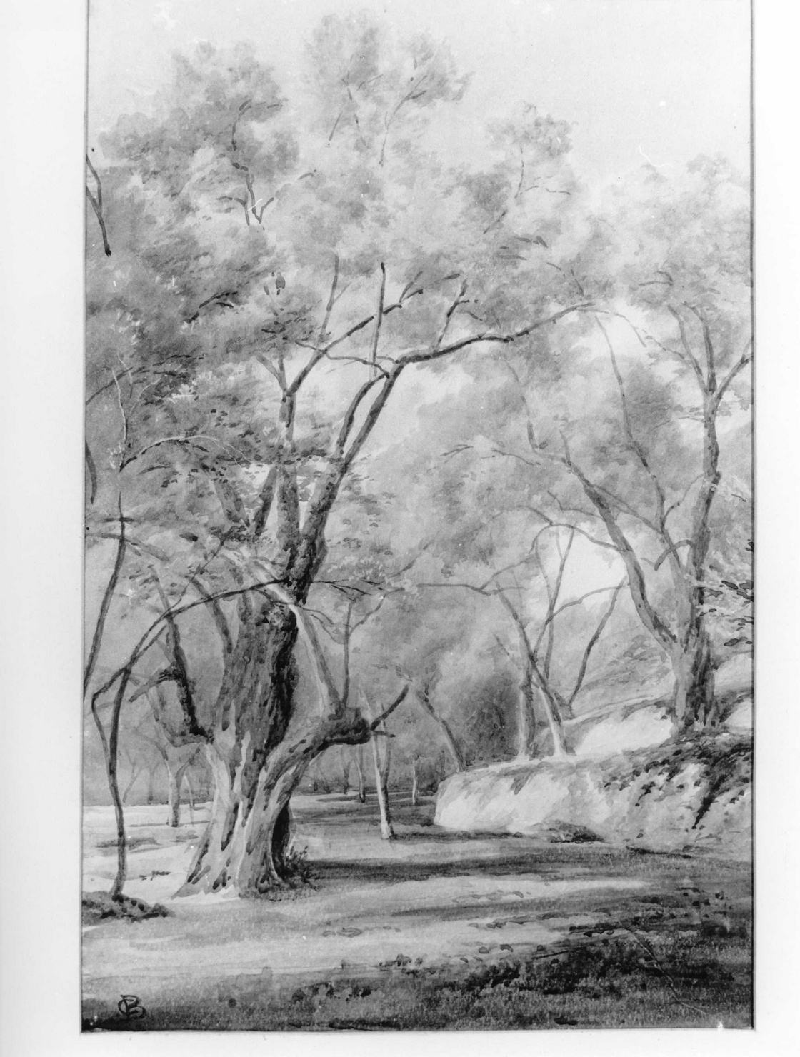 paesaggio (disegno, opera isolata) di Bicknell Clarence (fine/inizio secc. XIX/ XX)