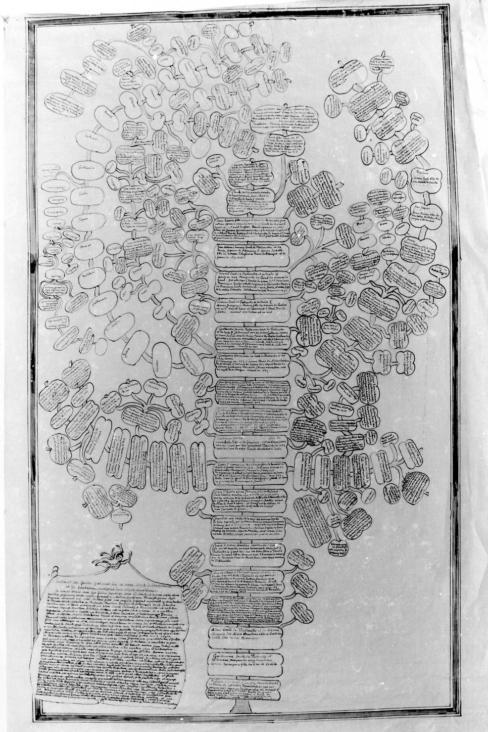 ALBERO GENEALOGICO DEI CONTI DI Ventimiglia (disegno, opera isolata) - bottega francese (seconda metà sec. XIX)