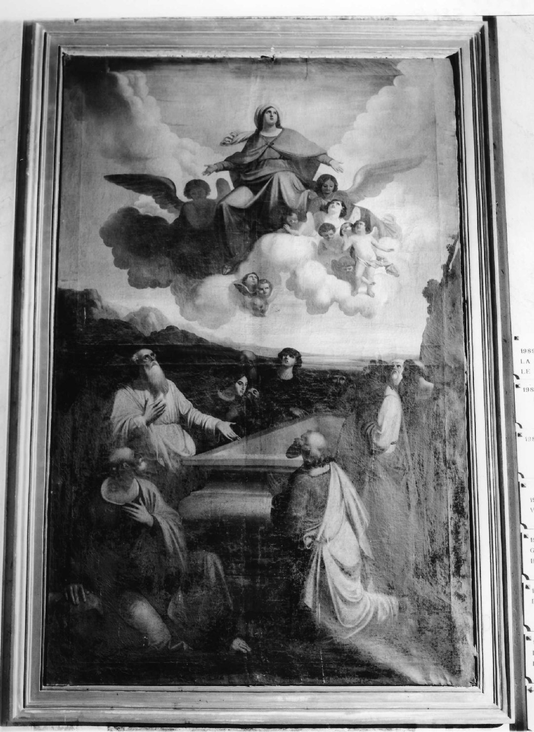 Assunzione, assunzione della Madonna (dipinto, complesso decorativo) di Bozzano Giuseppe (sec. XIX)