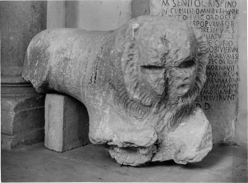 leone (scultura) - ambito Italia centro-meridionale (secc. X/ XI)