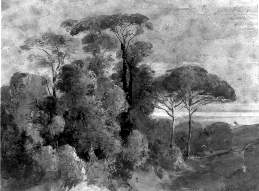 paesaggio con pini (dipinto) di Gigante Giacinto (sec. XIX)