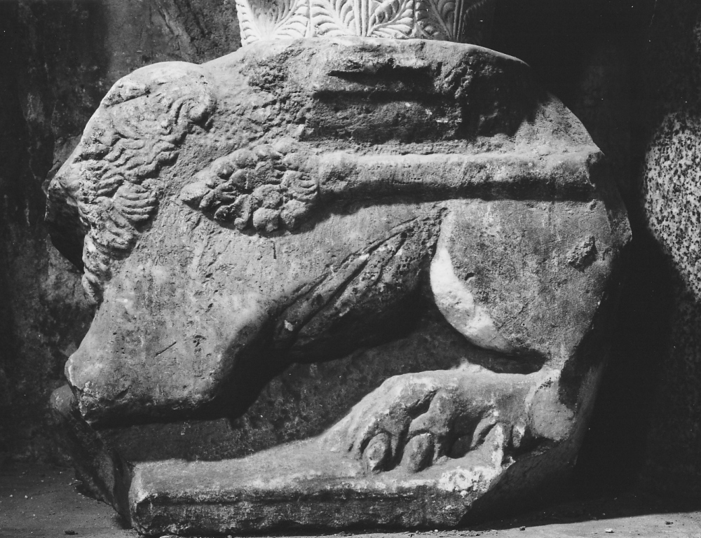 leone (scultura, frammento) - ambito laziale (sec. XIII)