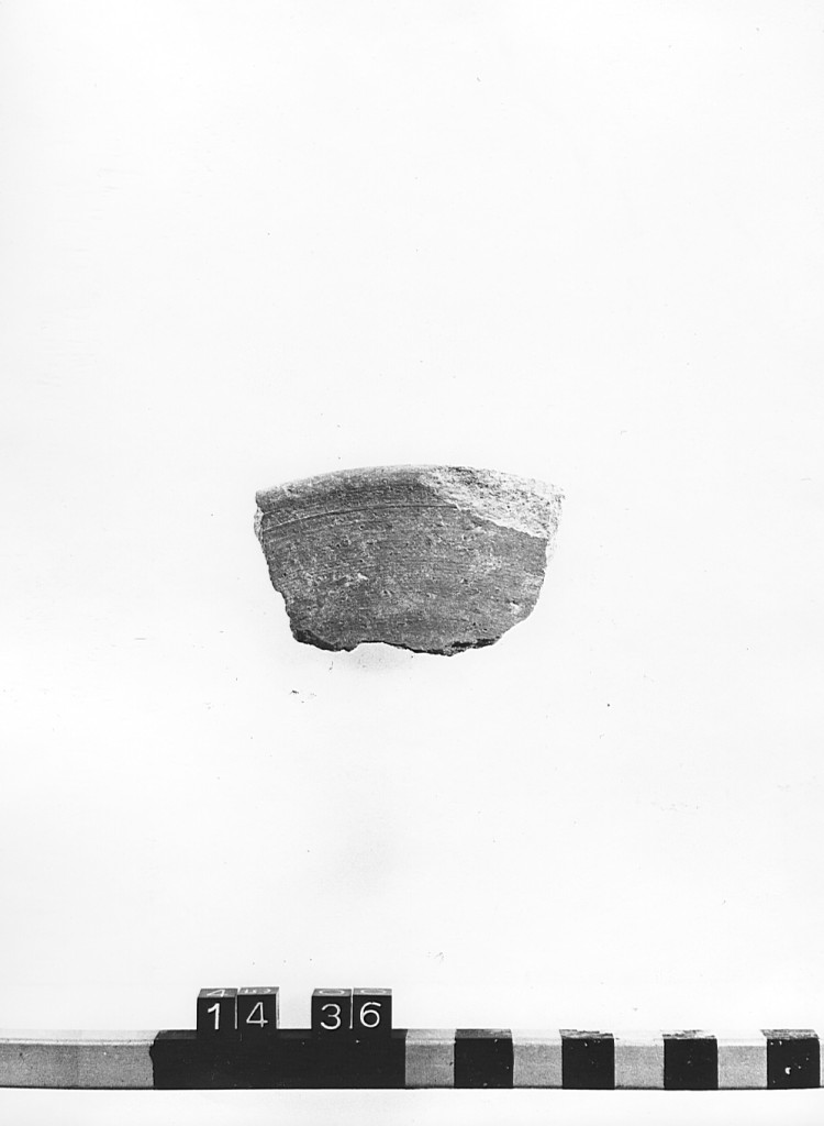 vassoio, frammento - ambito laziale (secc. XII/ XIII)