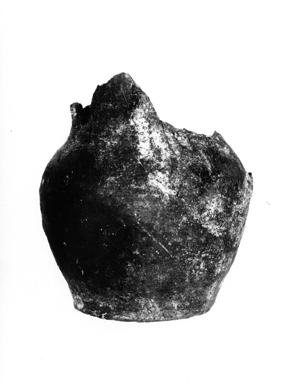 boccale, frammento - manifattura viterbese (sec. XIII)