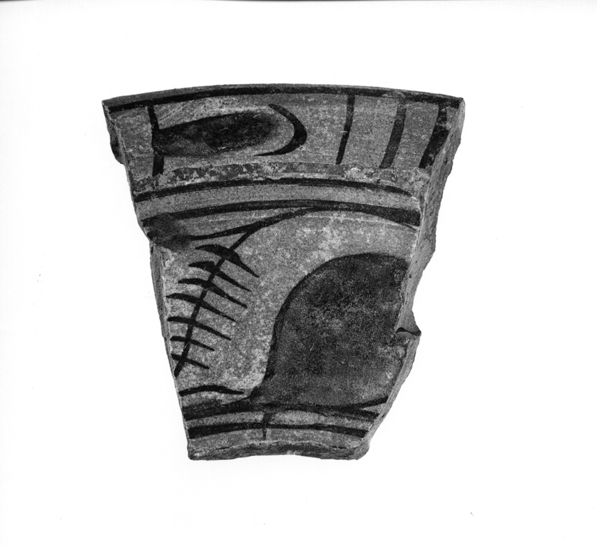 catino, frammento - manifattura viterbese (prima metà sec. XV)