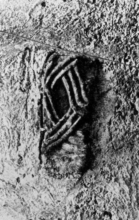 motivo decorativo a intreccio vimineo (rilievo, frammento) - ambito laziale (sec. IX)