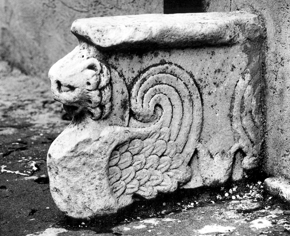 grifone (decorazione plastico-architettonica, frammento) - ambito laziale (secc. XI/ XII)