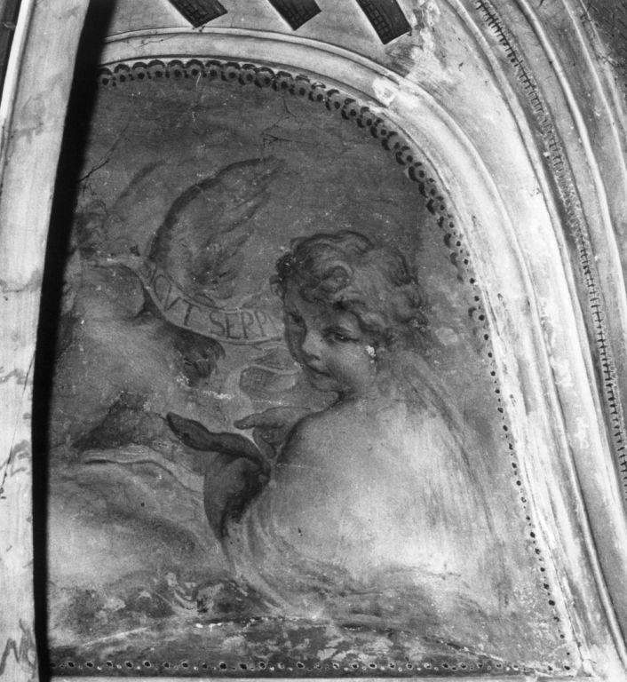 angioletti con simboli della Prudenza (dipinto) di Maratta Carlo (sec. XVII)