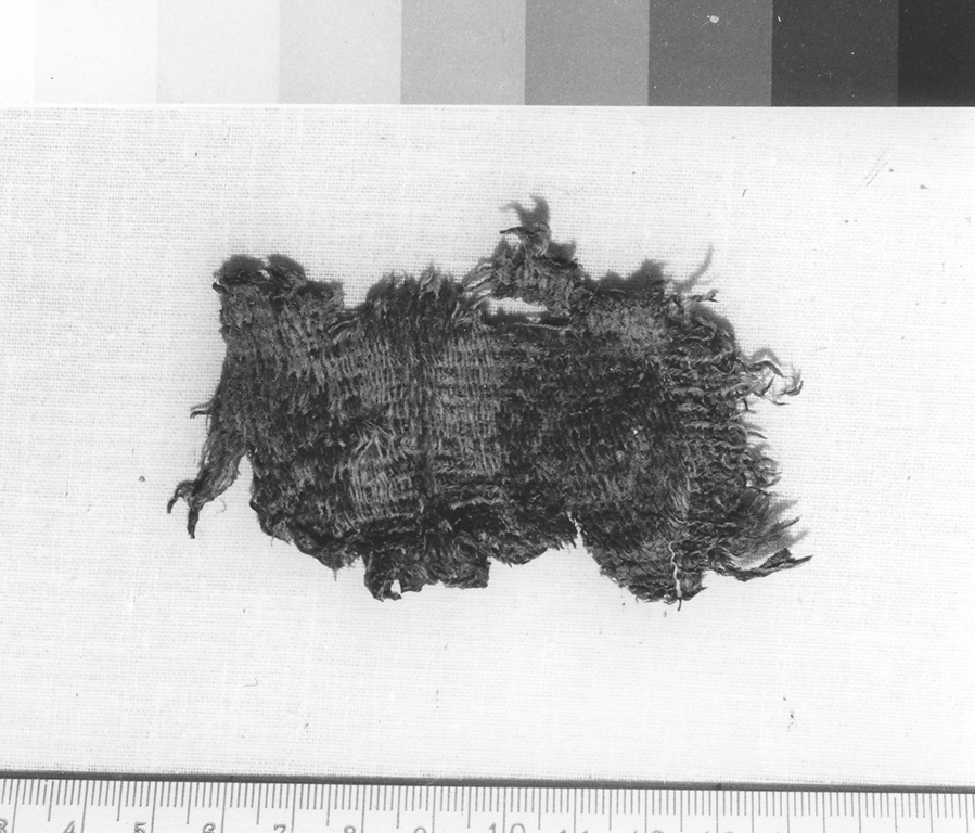 tessuto, frammento - ambito copto (secc. V/ VI)