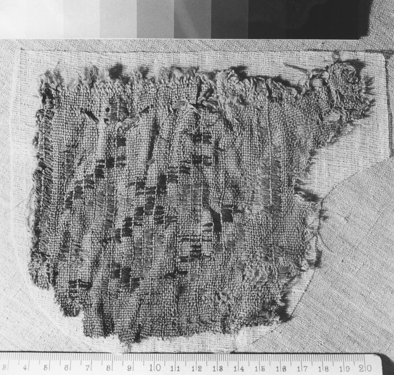 tessuto, frammento - ambito copto (secc. IV/ V)