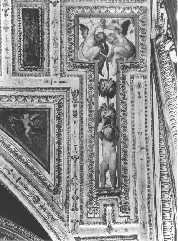 putti con nastro, fiori e frutti (dipinto, ciclo) di Fontana Prospero (attribuito) (sec. XVI)