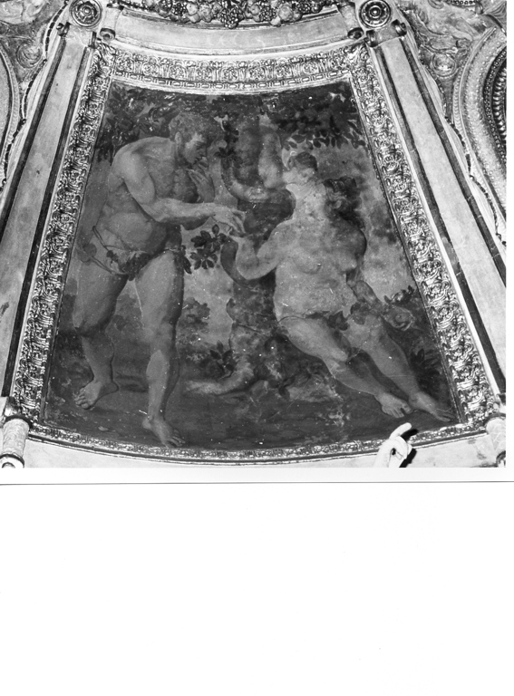 tentazione e caduta di Adamo e Eva (dipinto, elemento d'insieme) di Agresti Livio detto Ricciutino (attribuito) (sec. XVI)