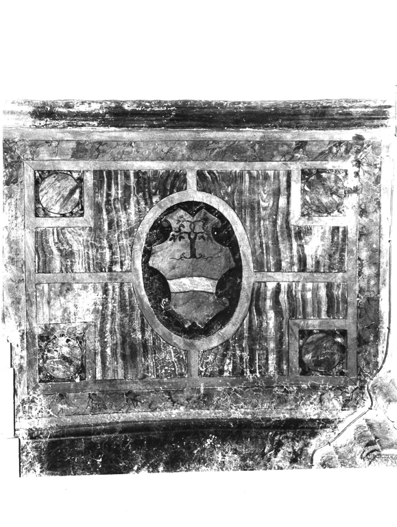stemma di Antonio Foderato (decorazione pittorica, elemento d'insieme) - ambito romano (metà sec. XVI)