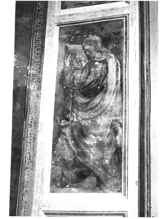 San Luca Evangelista (dipinto, elemento d'insieme) di Lilli Andrea (attribuito) (sec. XVI)