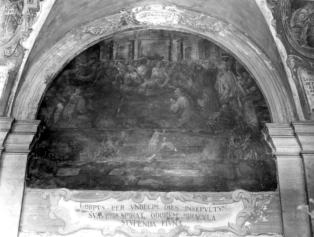 esposizione miracolosa del corpo di San Francesco di Paola (dipinto) di Massei Girolamo (sec. XVI)