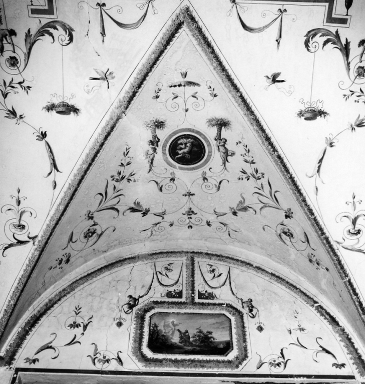 motivi decorativi a grottesche (dipinto, serie) di Coccetti Liborio (sec. XVIII)