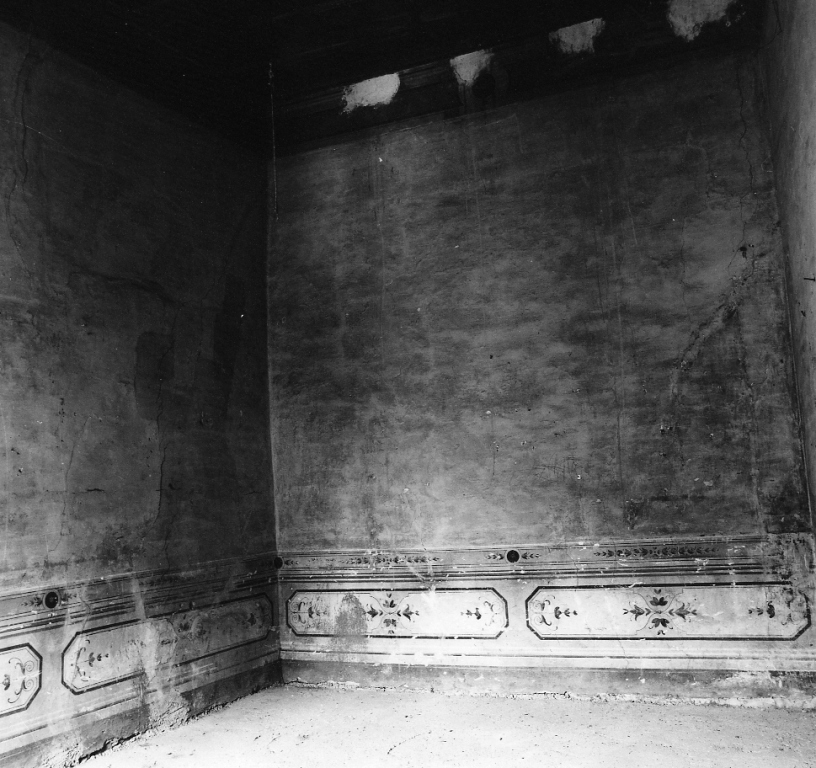 motivi decorativi vegetali (dipinto) - ambito laziale (fine sec. XVIII)