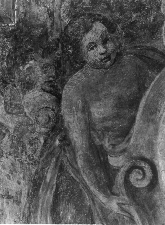 putti reggistemma (decorazione pittorica, coppia) di Zuccari Taddeo (attribuito) (sec. XVI)