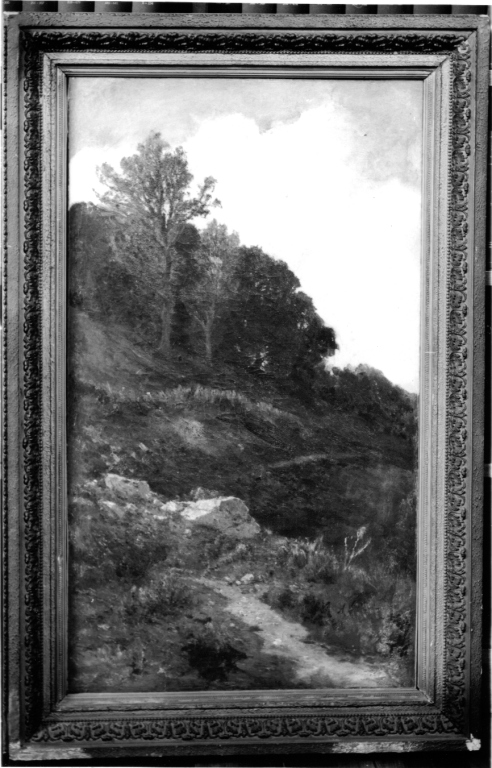 paesaggio (dipinto) di Vertunni Achille (seconda metà sec. XIX)