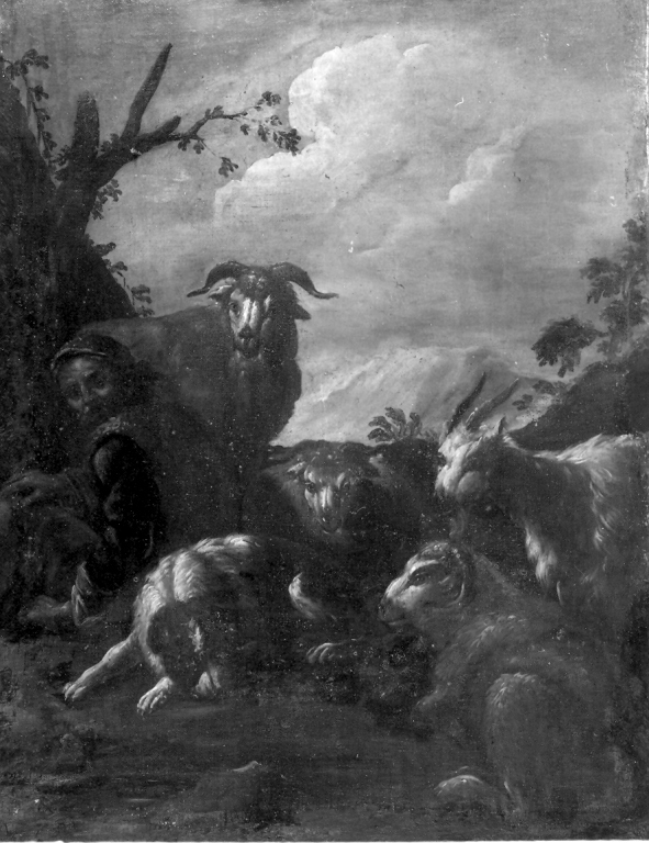 scena pastorale con pastore seduto e animali (dipinto) di Roos Philipp Peter detto Rosa da Tivoli (maniera) (inizio sec. XVIII)