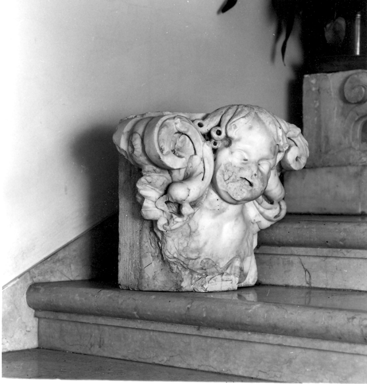 testa di angelo (scultura, frammento) di Fanzago Cosimo (cerchia) (prima metà sec. XVII)
