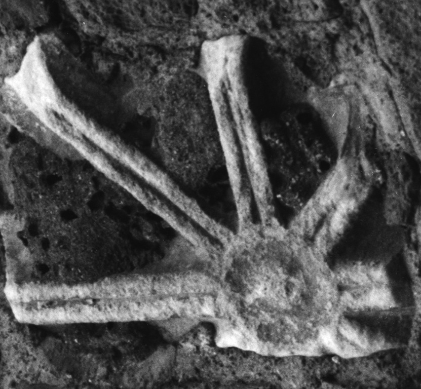 transenna, frammento - scuola romana (secc. IV/ V)