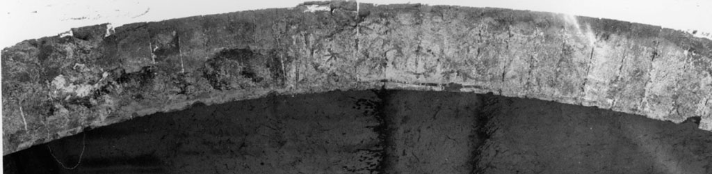 Motivi decorativi a volute (dipinto, frammento) - scuola romana (secc. XIII/ XIV, secc. XIII/ XIV)