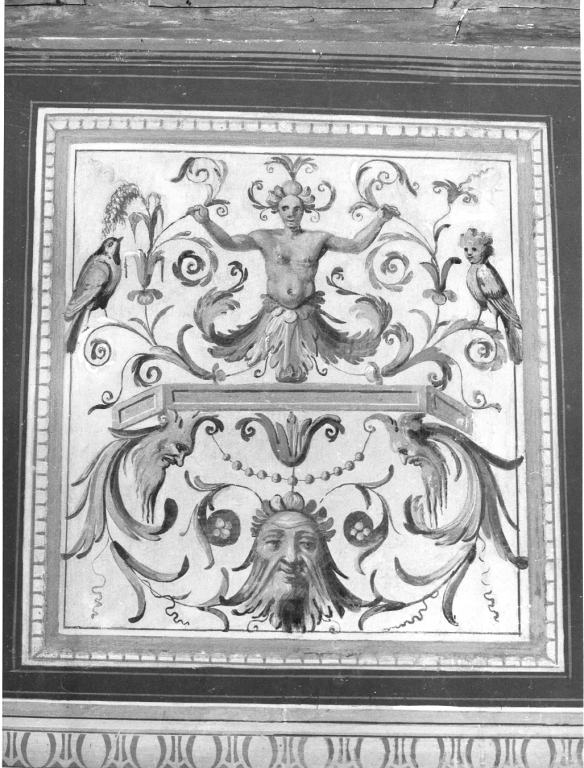 decorazione a grottesche (dipinto, serie) di Luzio Romano (cerchia) (sec. XVI)