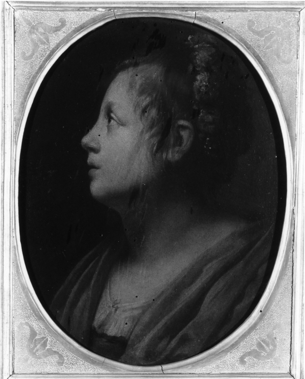 ritratto di donna di profilo (dipinto) di Trevisani Francesco (sec. XVIII)