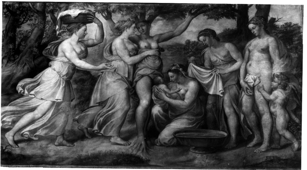 nascita di Adone (dipinto) di Siciolante Girolamo (sec. XVI)