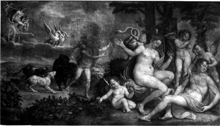 morte di Adone (dipinto) di Siciolante Girolamo (sec. XVI)