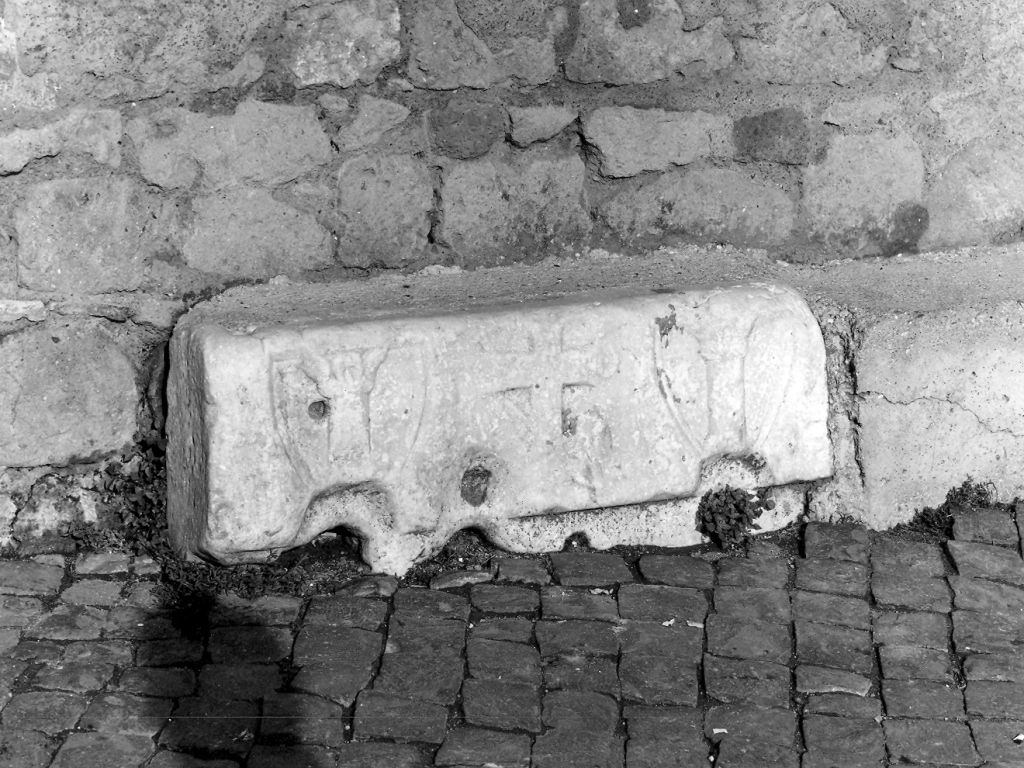 decorazione plastica, frammento - ambito romano (secc. XIII/ XIV)