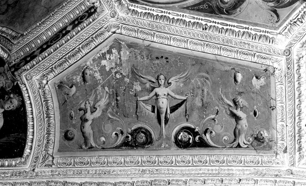 motivi decorativi a grottesche (dipinto) di Zuccari Taddeo (cerchia) (terzo quarto sec. XVI)