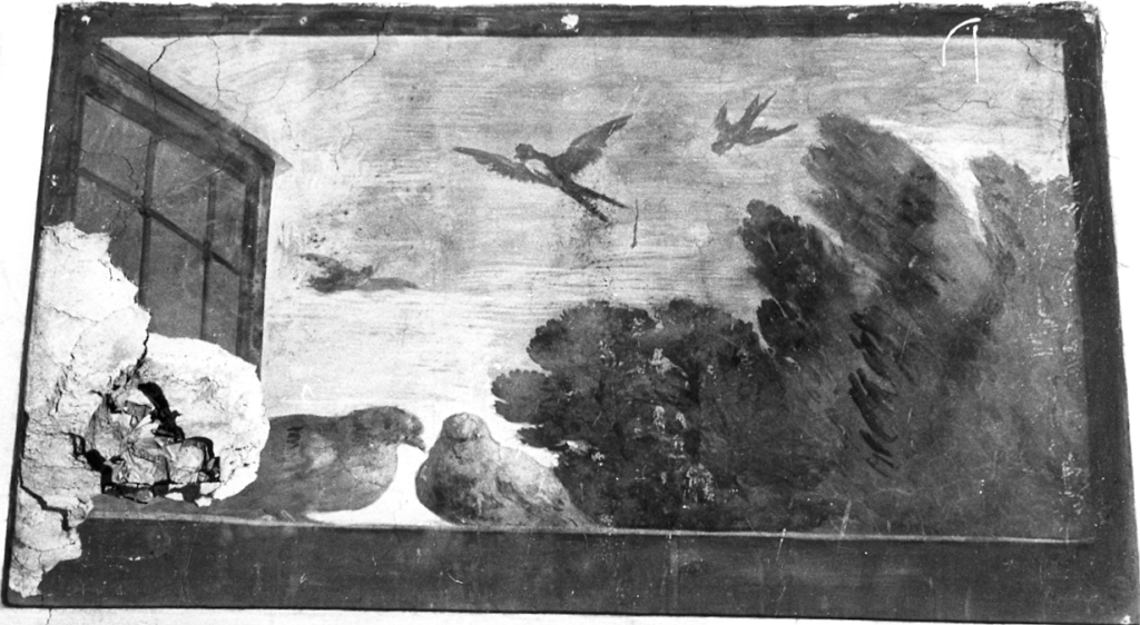 colombe (dipinto) di Mola Pier Francesco (sec. XVII)