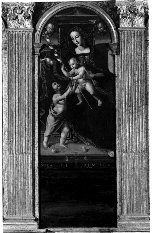 Madonna con Bambino e Santi (polittico) di Trofi Monaldo detto Truffetta (maniera) (sec. XVI)