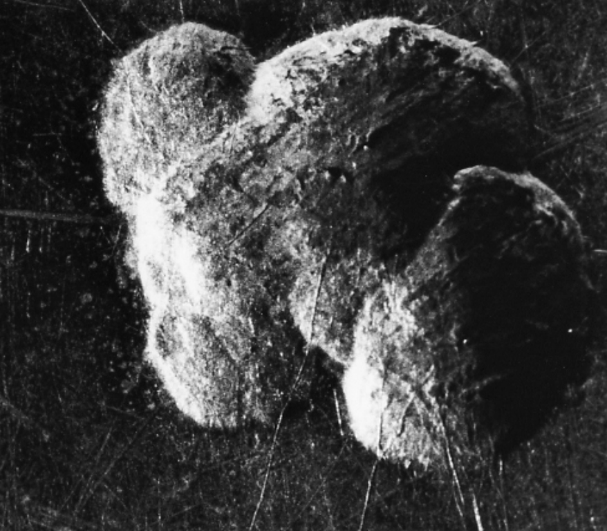 piatto, serie - ambito romano (sec. XIX)